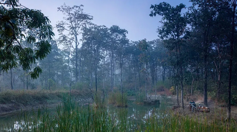Reni Pani, Satpura National Park, India 7.jpg