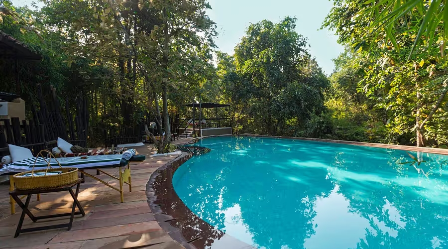 Reni Pani, Satpura National Park, India 23.jpg