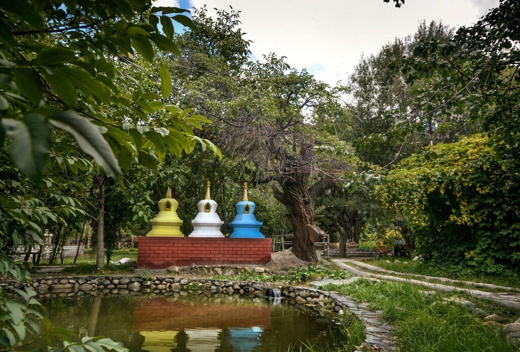 Nubra Organic Retreat, Nubra Valley, Ladakh, India 7.jpg