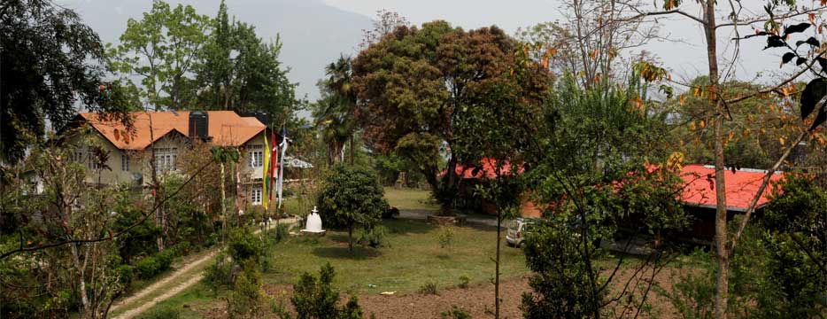 Yangsum Heritage Farm, Richenpong, India 3.jpg