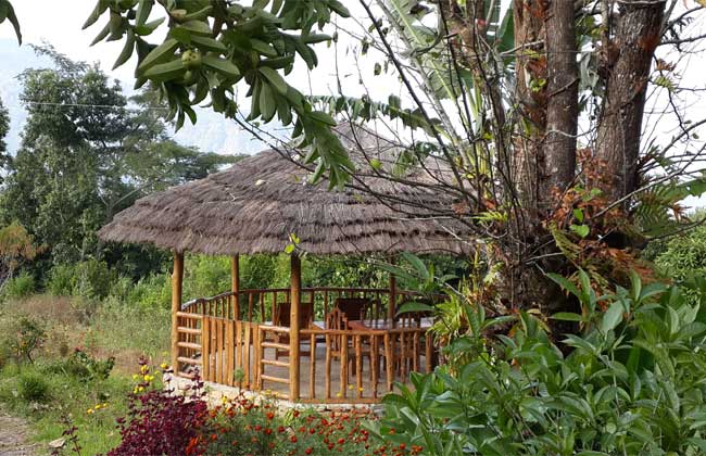 Yangsum Heritage Farm, Richenpong, India 10.jpg