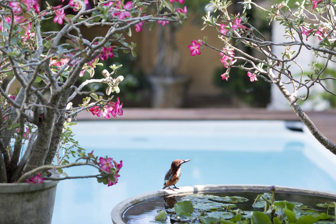 20 Middle Street, Galle, Sri Lanka 1.jpeg