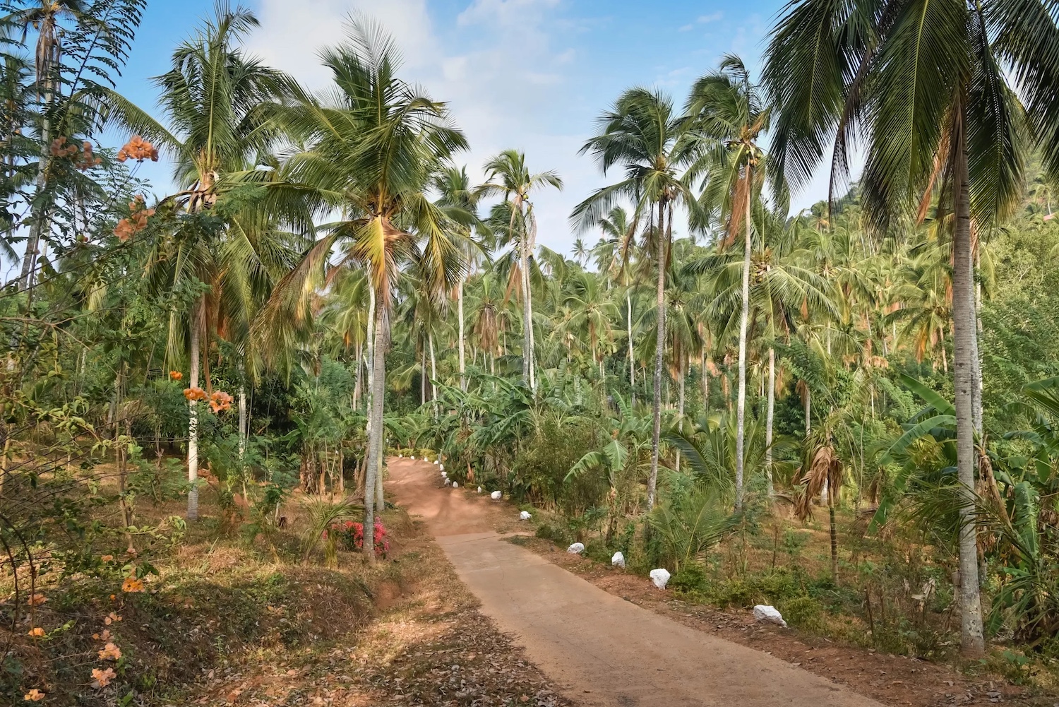 Jim's Farm Villas, Matale, Sri Lanka 9.jpg
