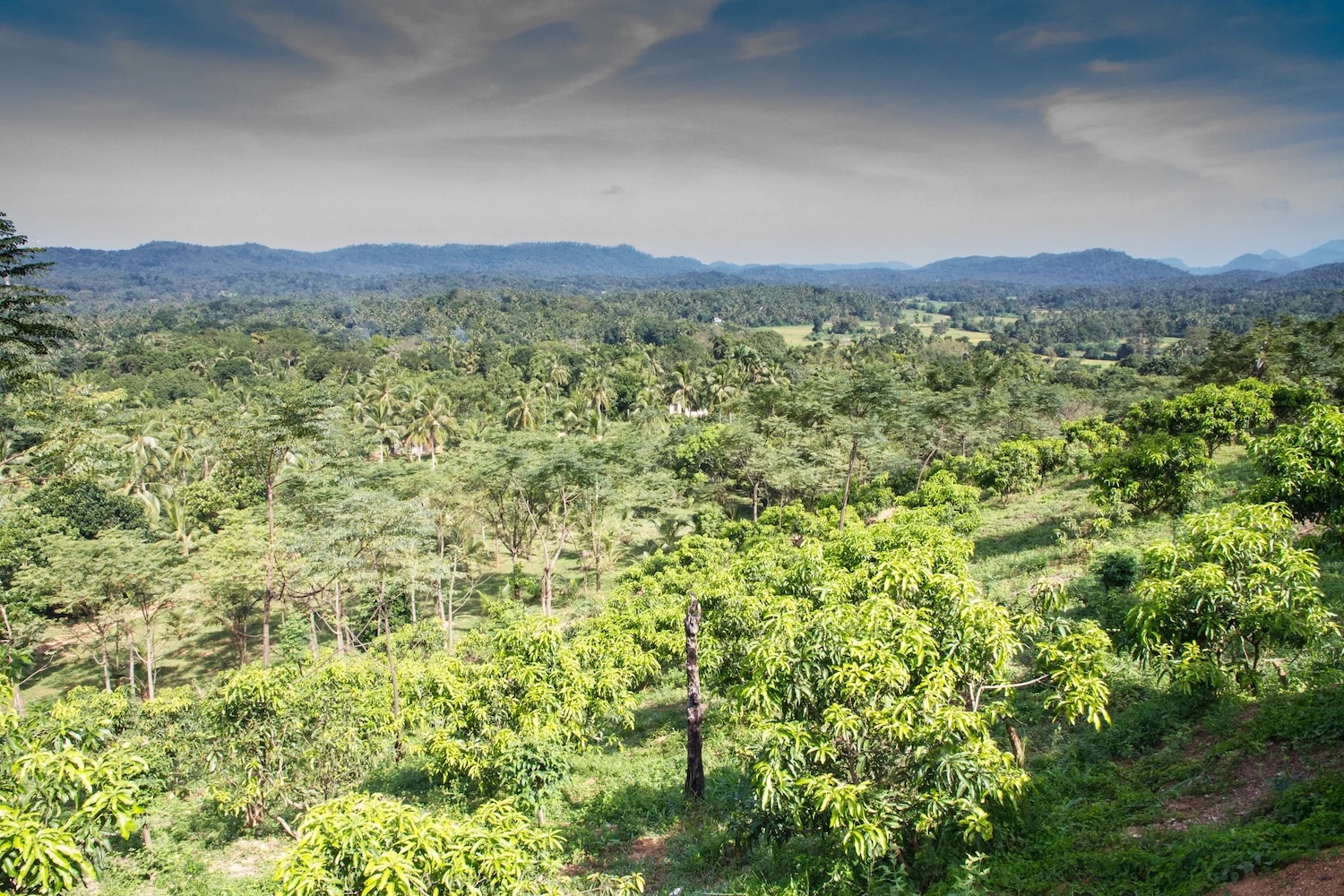 Jim's Farm Villas, Matale, Sri Lanka 10.jpg