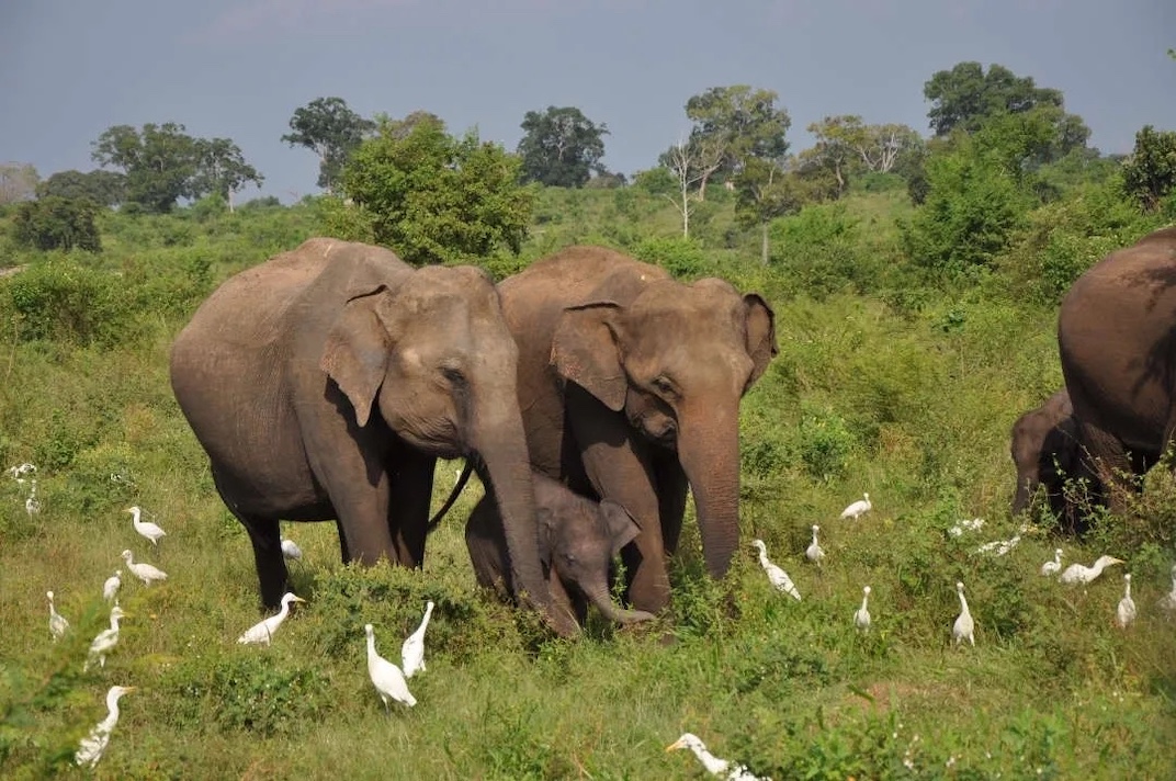 Jim's Farm Villas, Matale, Sri Lanka 14.jpg