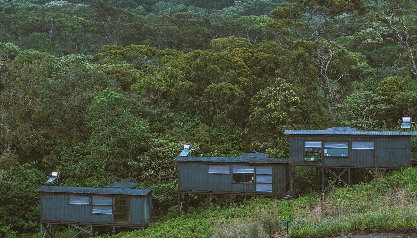 Rainforest Eco Lodge, Sinharaja, Sri Lanka 1.jpeg