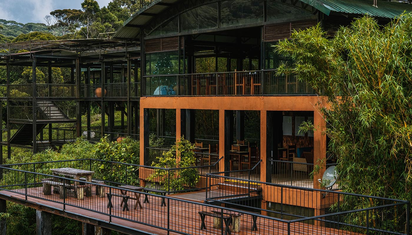 Rainforest Eco Lodge, Sinharaja, Sri Lanka 2.jpeg