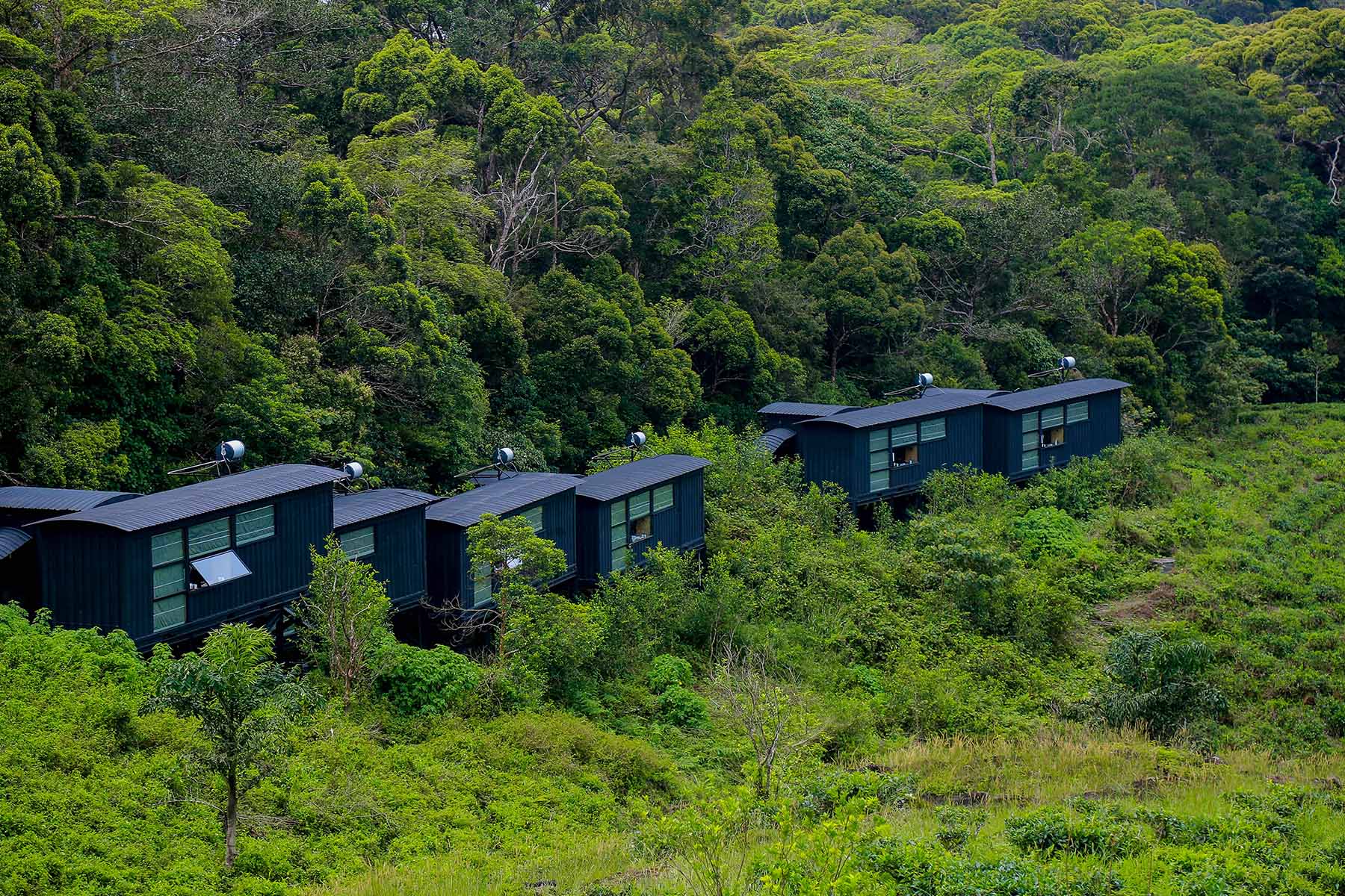 Rainforest Eco Lodge, Sinharaja, Sri Lanka 7.jpeg