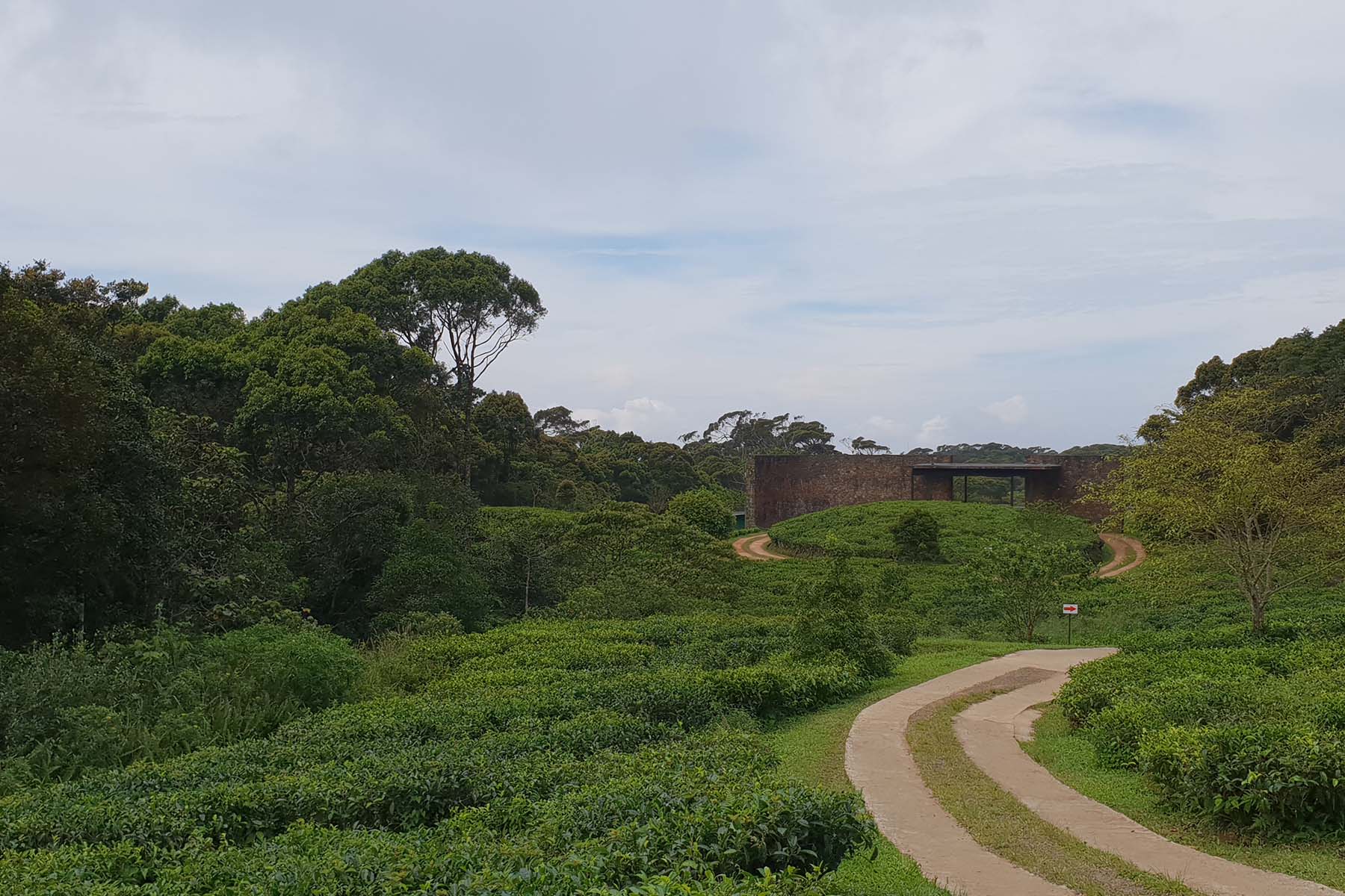 Rainforest Eco Lodge, Sinharaja, Sri Lanka 8.jpeg
