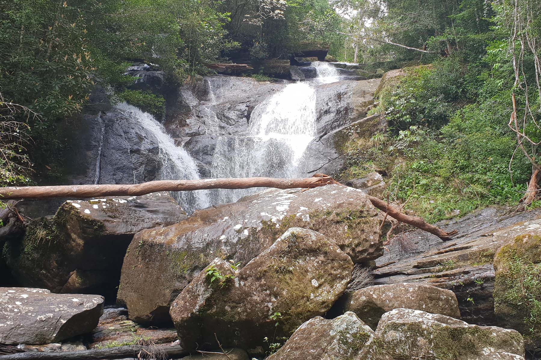 Rainforest Eco Lodge, Sinharaja, Sri Lanka 9.jpeg