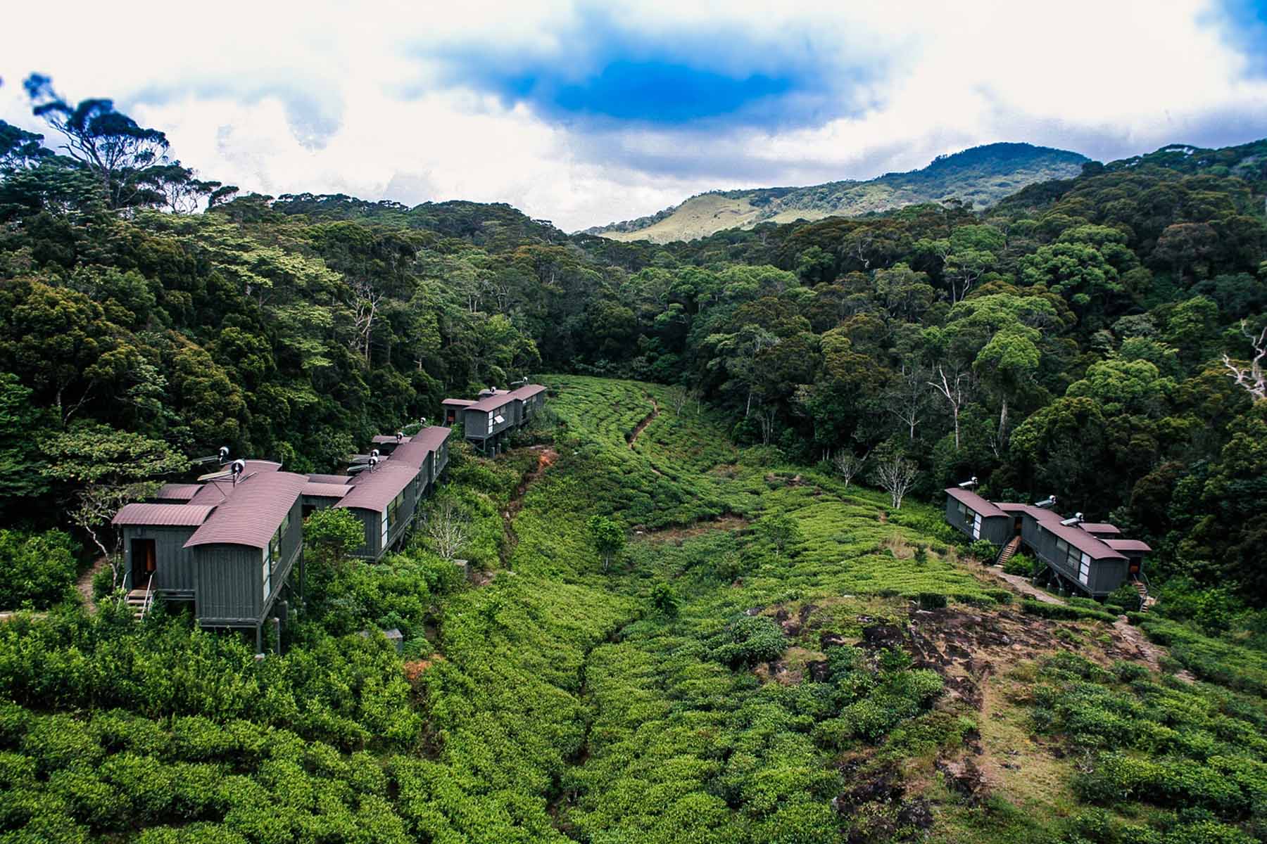 Rainforest Eco Lodge, Sinharaja, Sri Lanka 12.jpeg