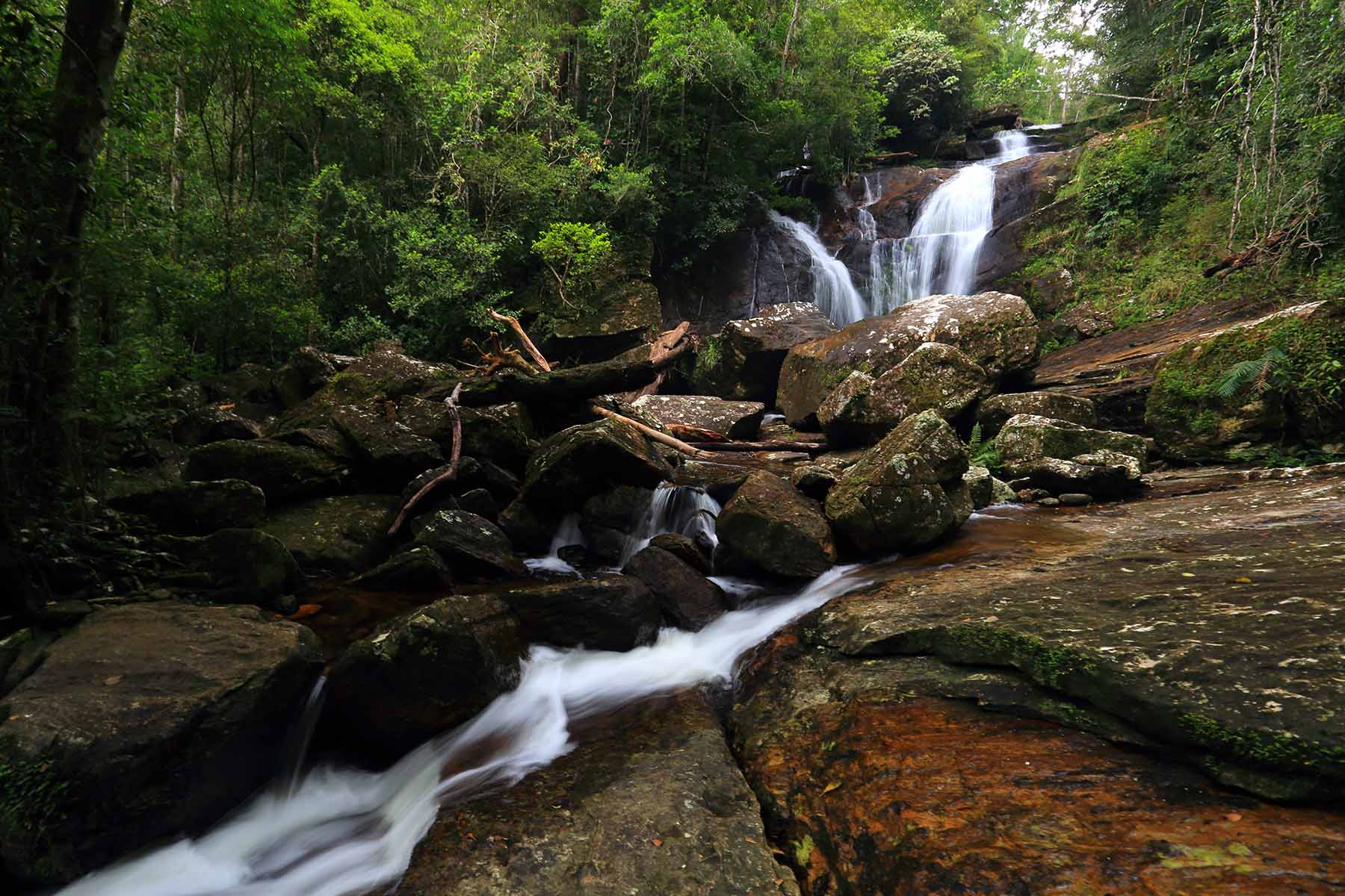Rainforest Eco Lodge, Sinharaja, Sri Lanka 13.jpeg