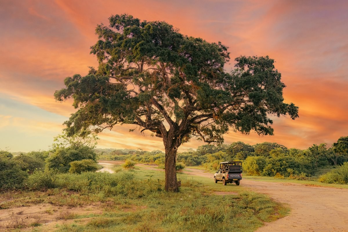 Wild Coast Tented Lodge, Yala National Park, Sri Lanka 6.jpg