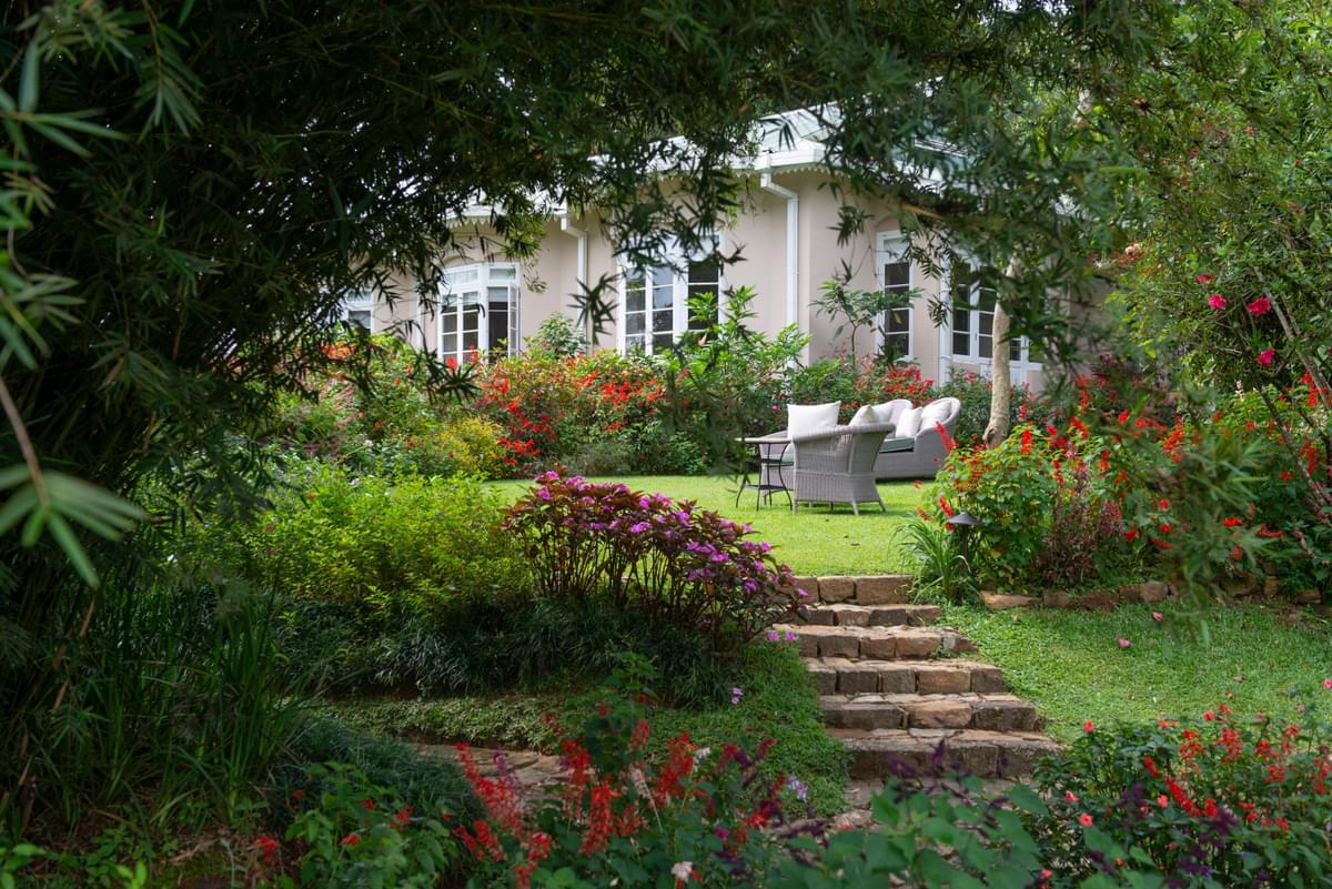 Castlereagh Bungalow - Garden - Medium.jpg