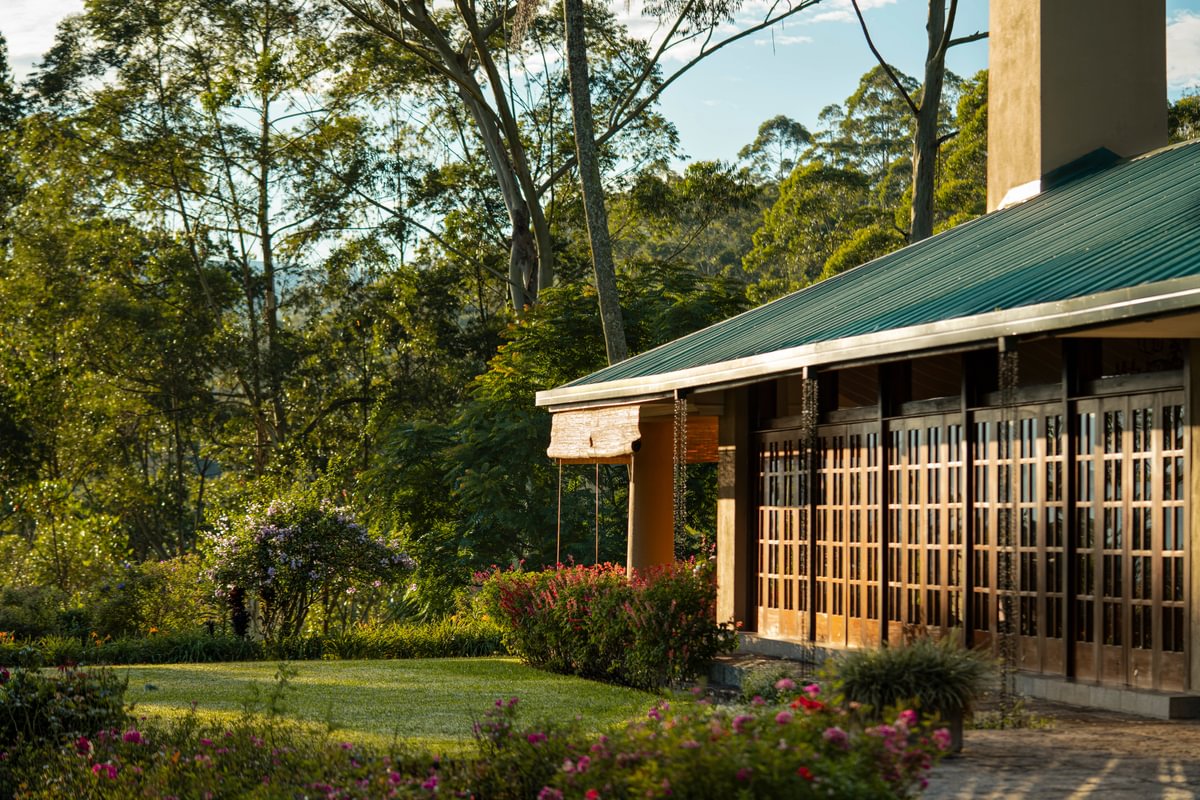 Norwood Bungalow - Medium.jpg