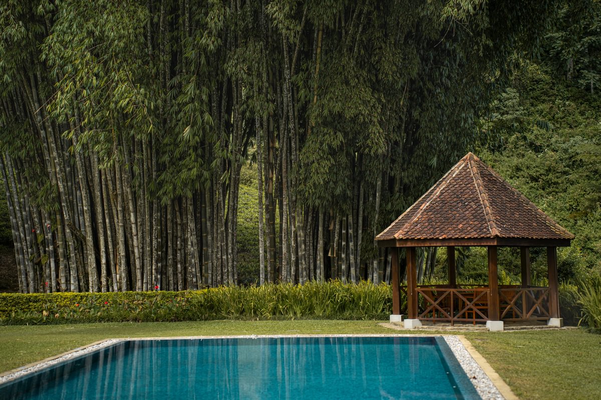 Norwood Bungalow - Pool - Medium.jpg