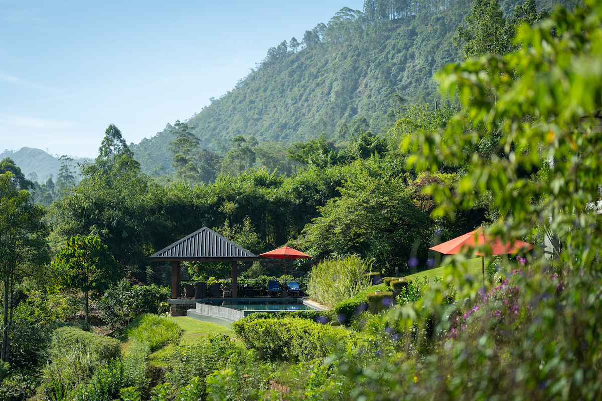 Camellia Hills, Bogawantalawa Valley, Sri Lanka 6.jpg