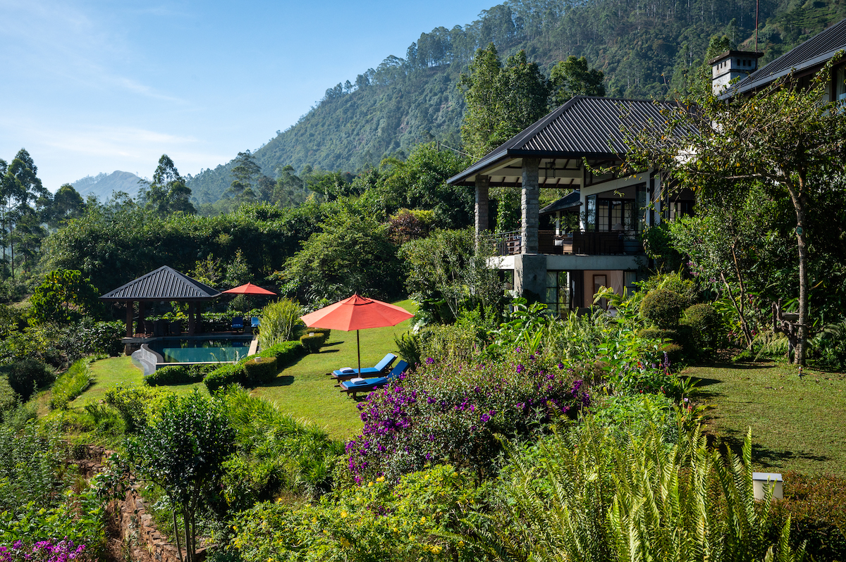 Camellia Hills, Bogawantalawa Valley, Sri Lanka 16.jpg