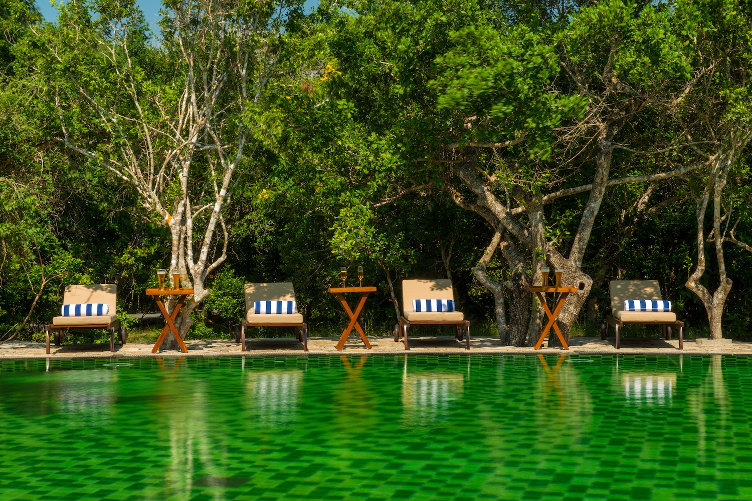 Uga Chena Huts, Yala National Park, Sri Lanka 7.jpg