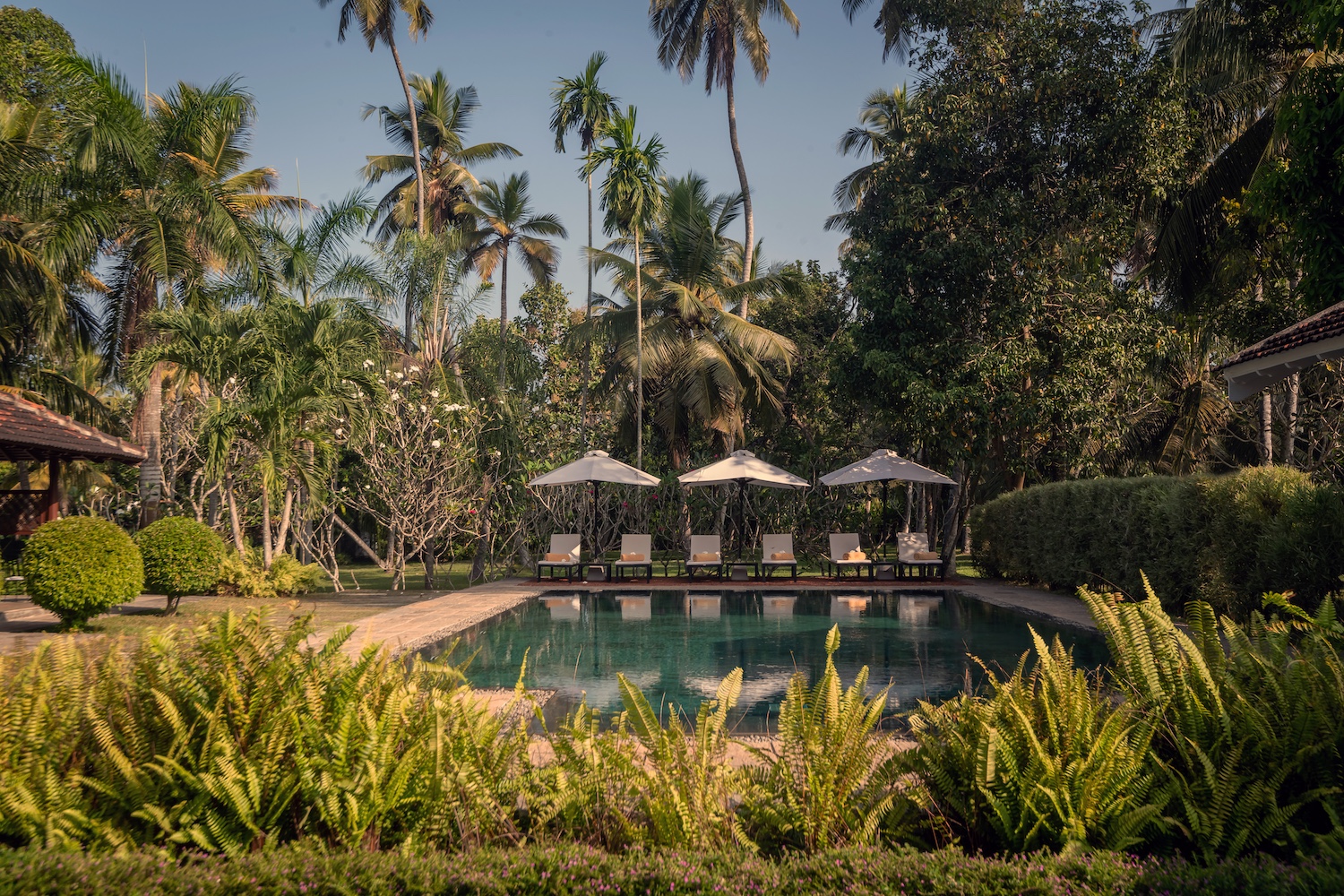 Uga Riva, Negombo, Sri Lanka 15.jpg