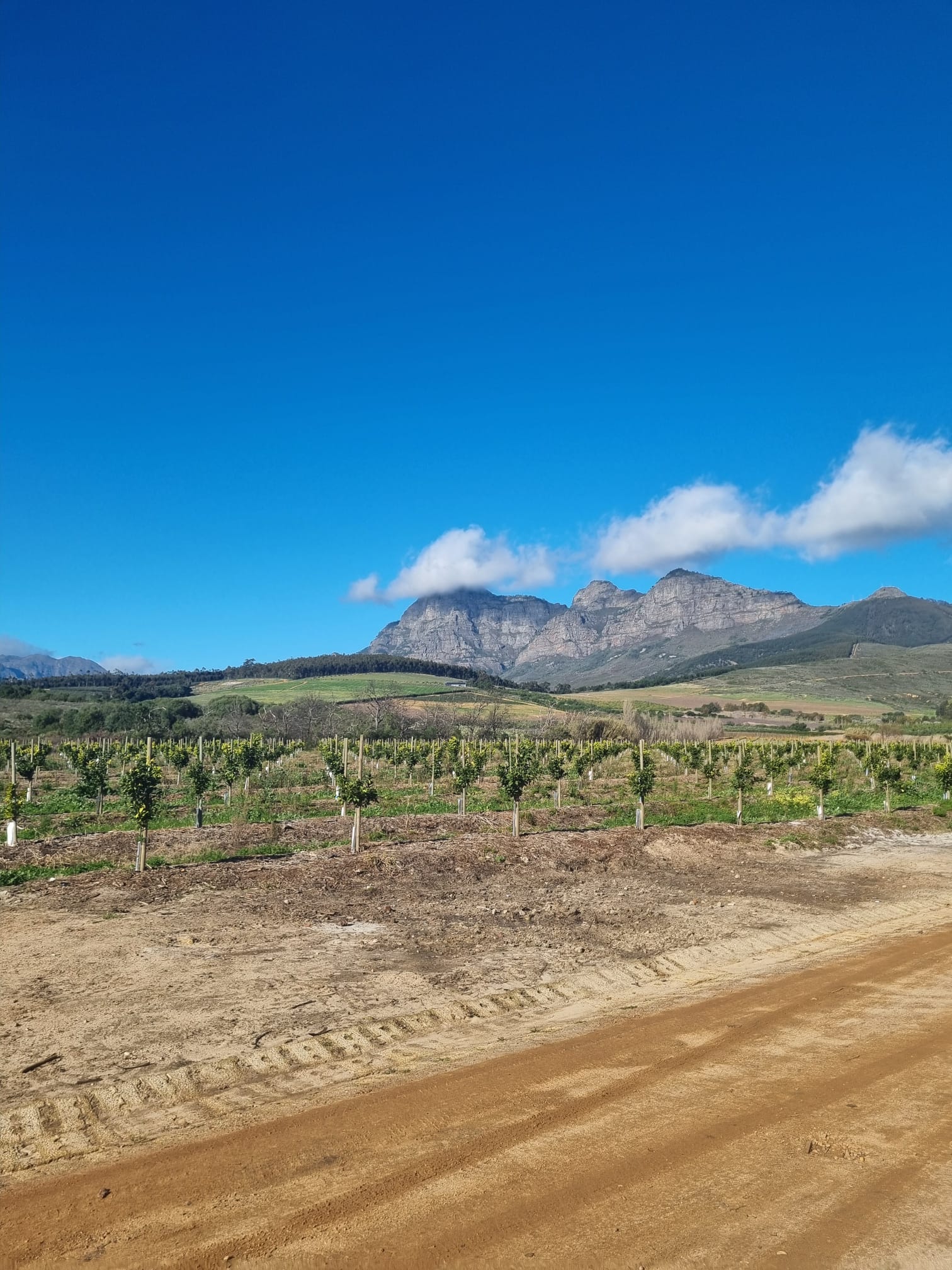 Catriona pictures 2.jpg