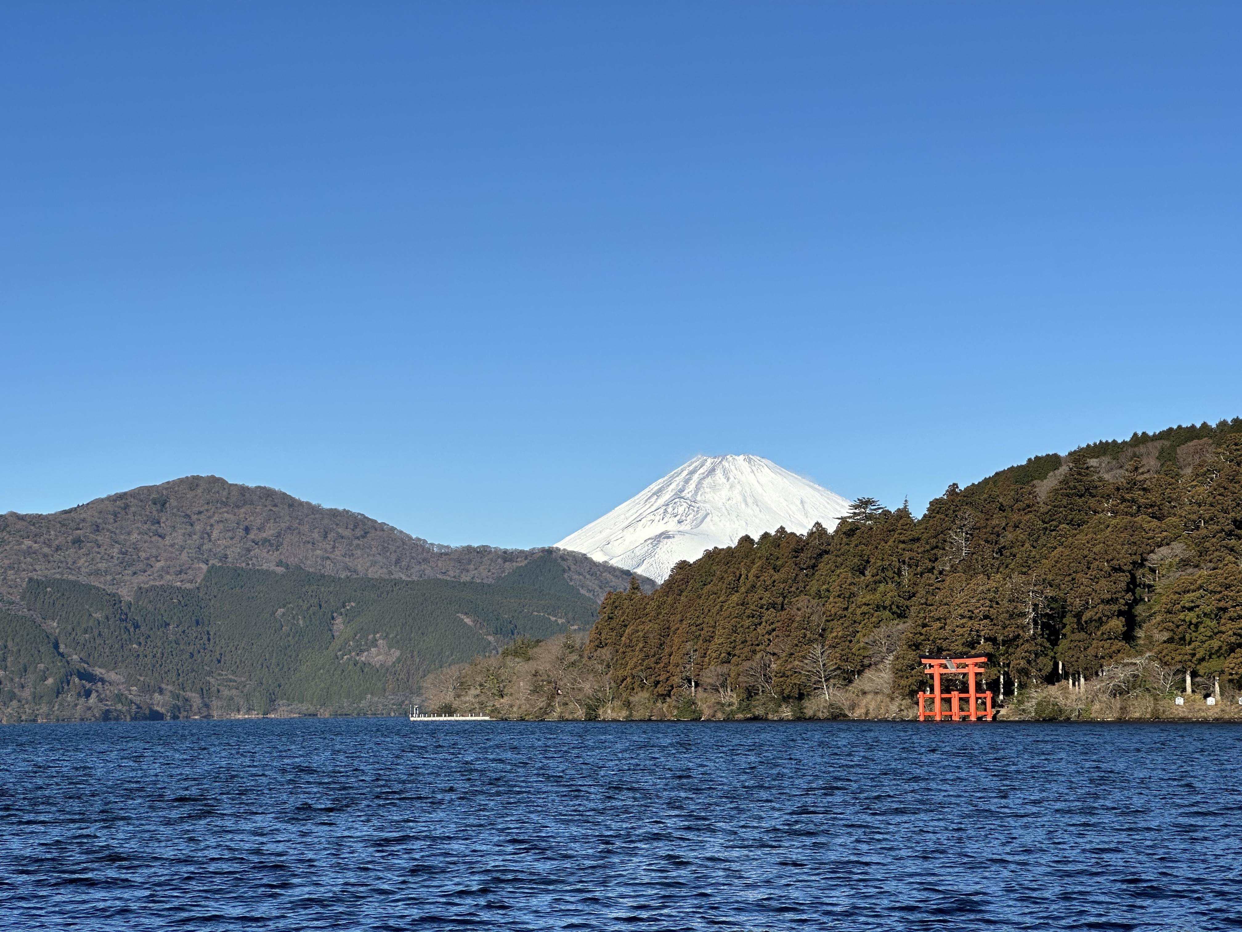 Chloe pictures 2.jpg