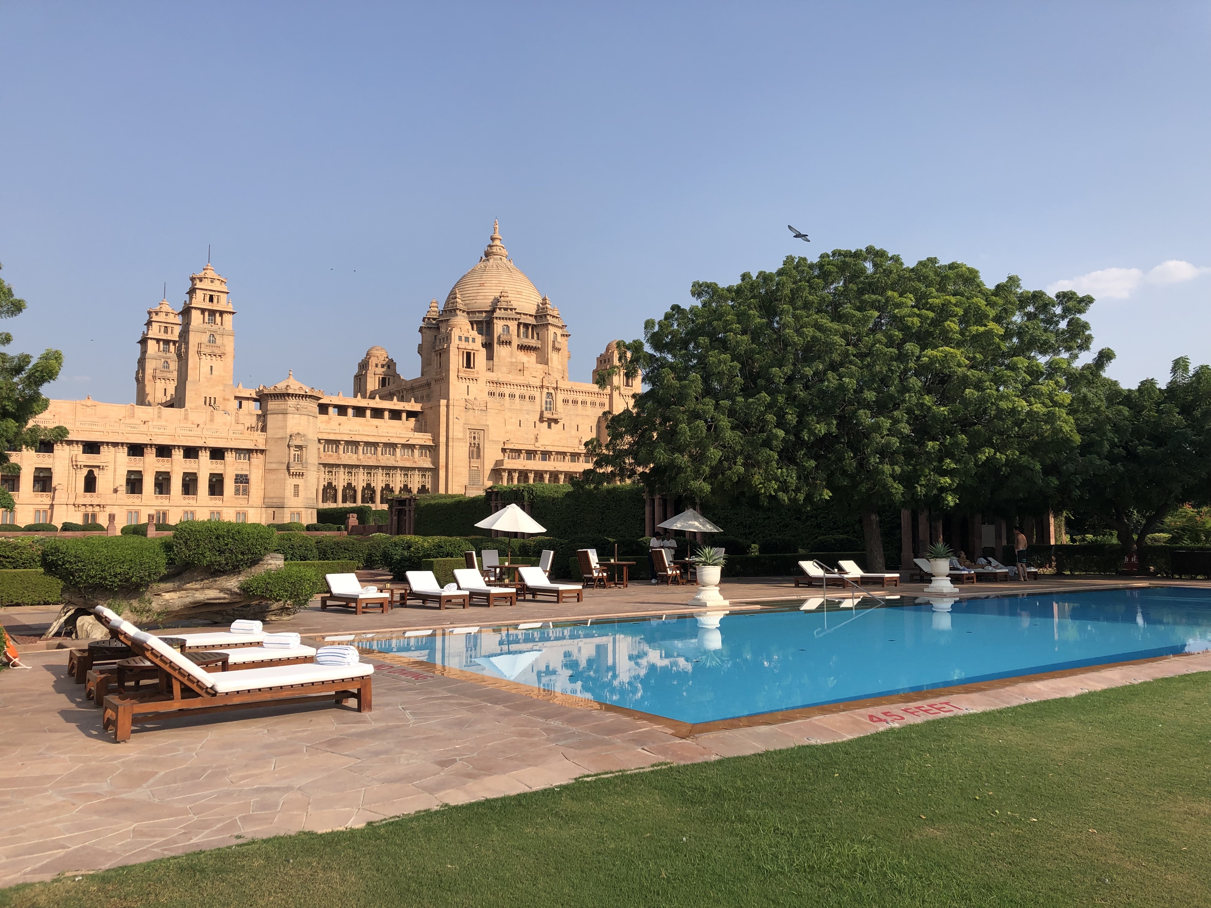 Chloe pictures 5.jpg