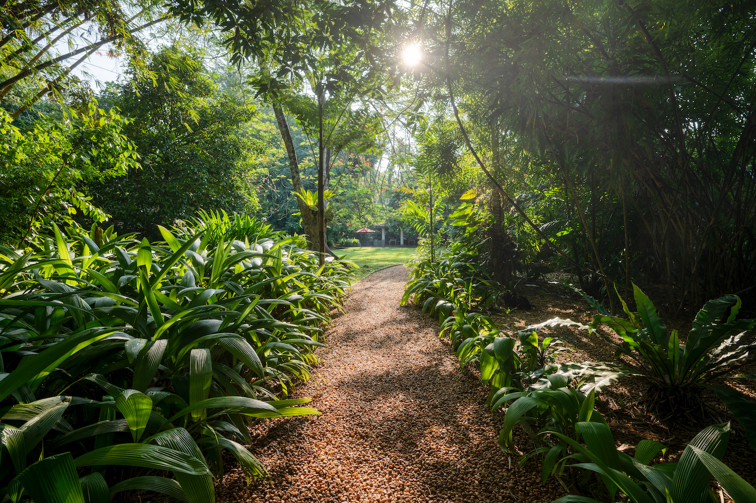 Wallawwa, Tangalle, Sri Lanka 13.jpg