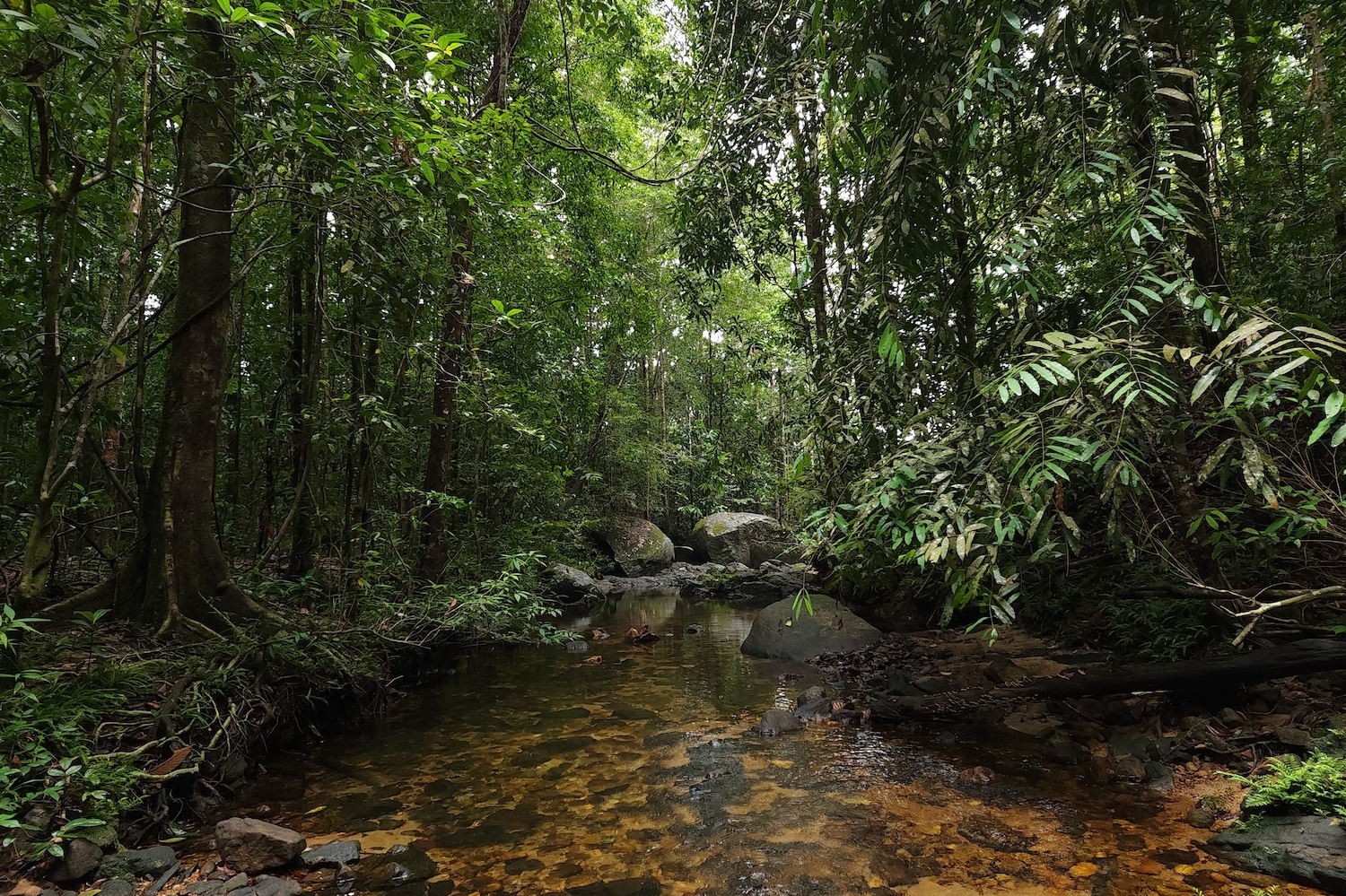 Ahungalla, Sri Lanka 1.jpg