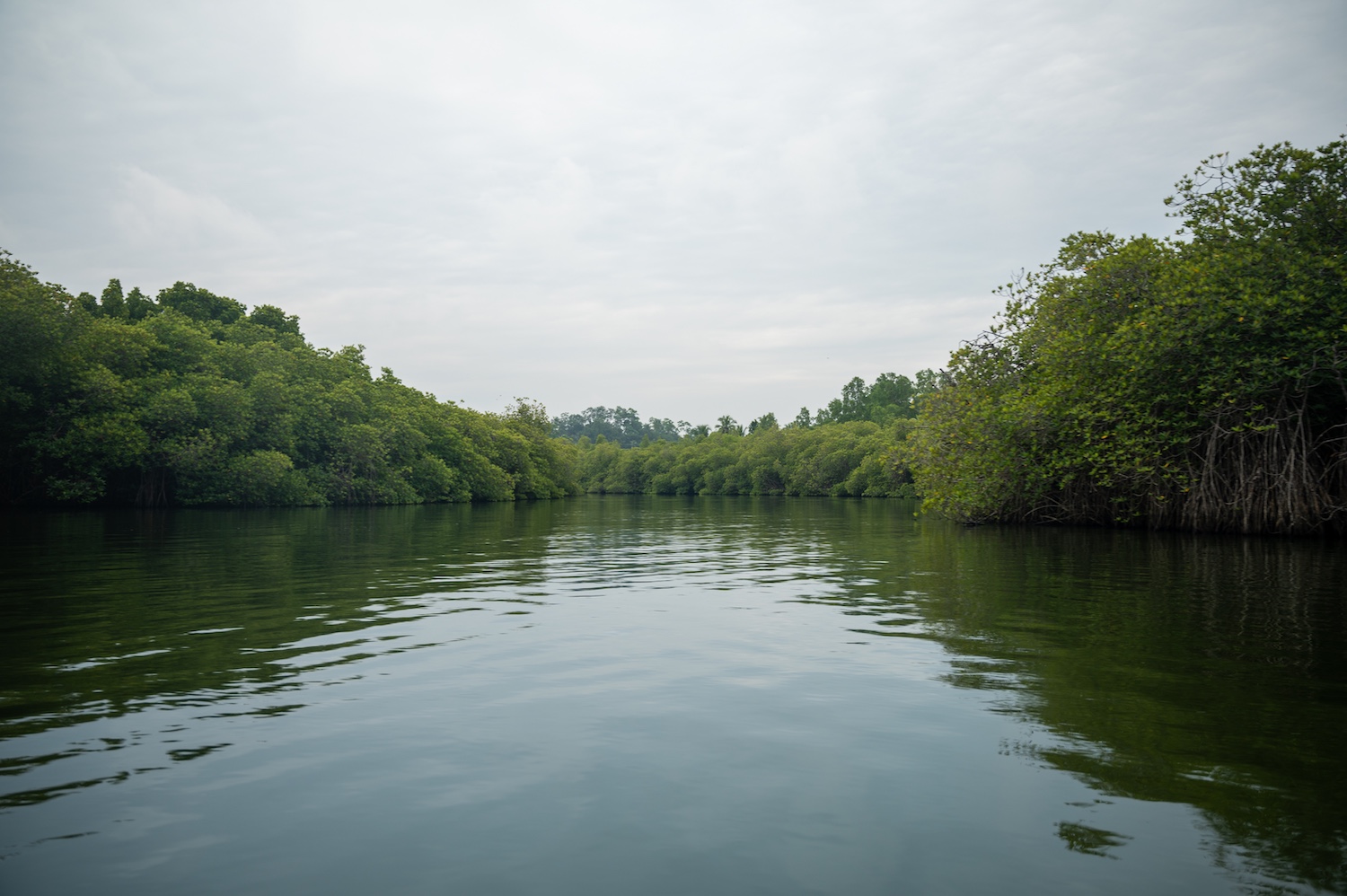 Ahungalla, Sri Lanka 2.jpg