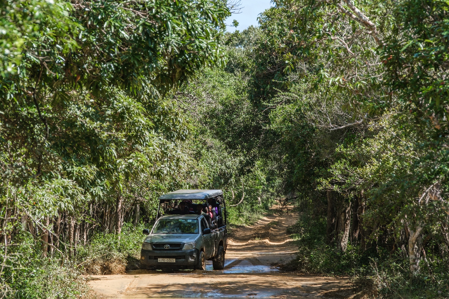 Leopard Trails Wilpattu National Park, Sri Lanka 8.jpg