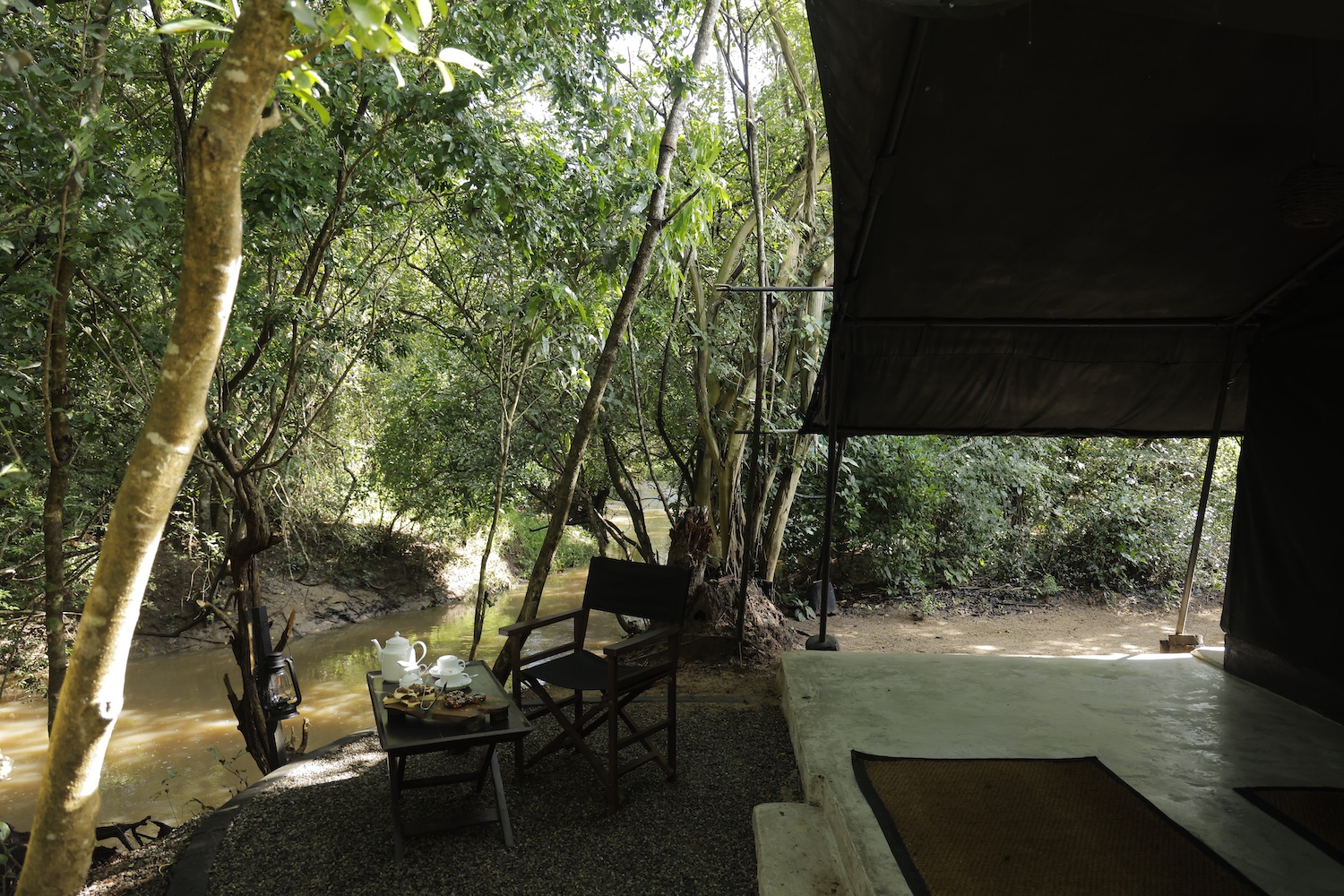 Leopard Trails Wilpattu National Park, Sri Lanka 13.JPG