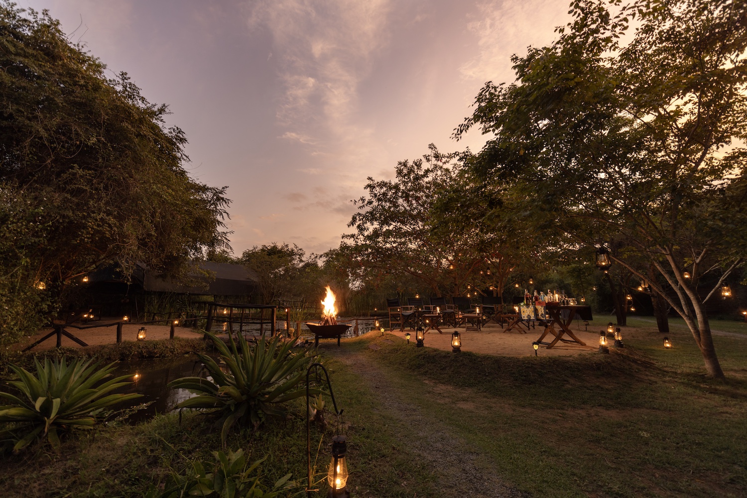 Leopard Trails Wilpattu National Park, Sri Lanka 16.jpg