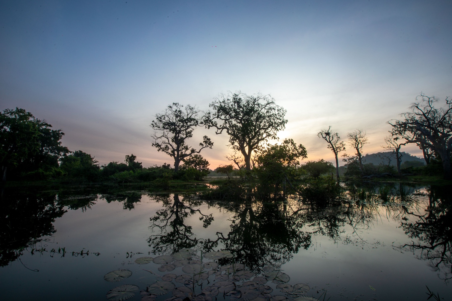 Leopard Trails Yala National Park, Sri Lanka 3.jpg