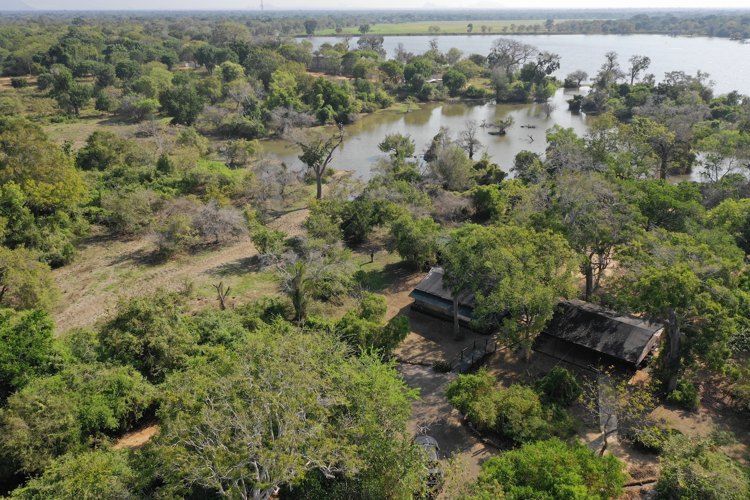Leopard Trails Yala National Park, Sri Lanka 13.JPG