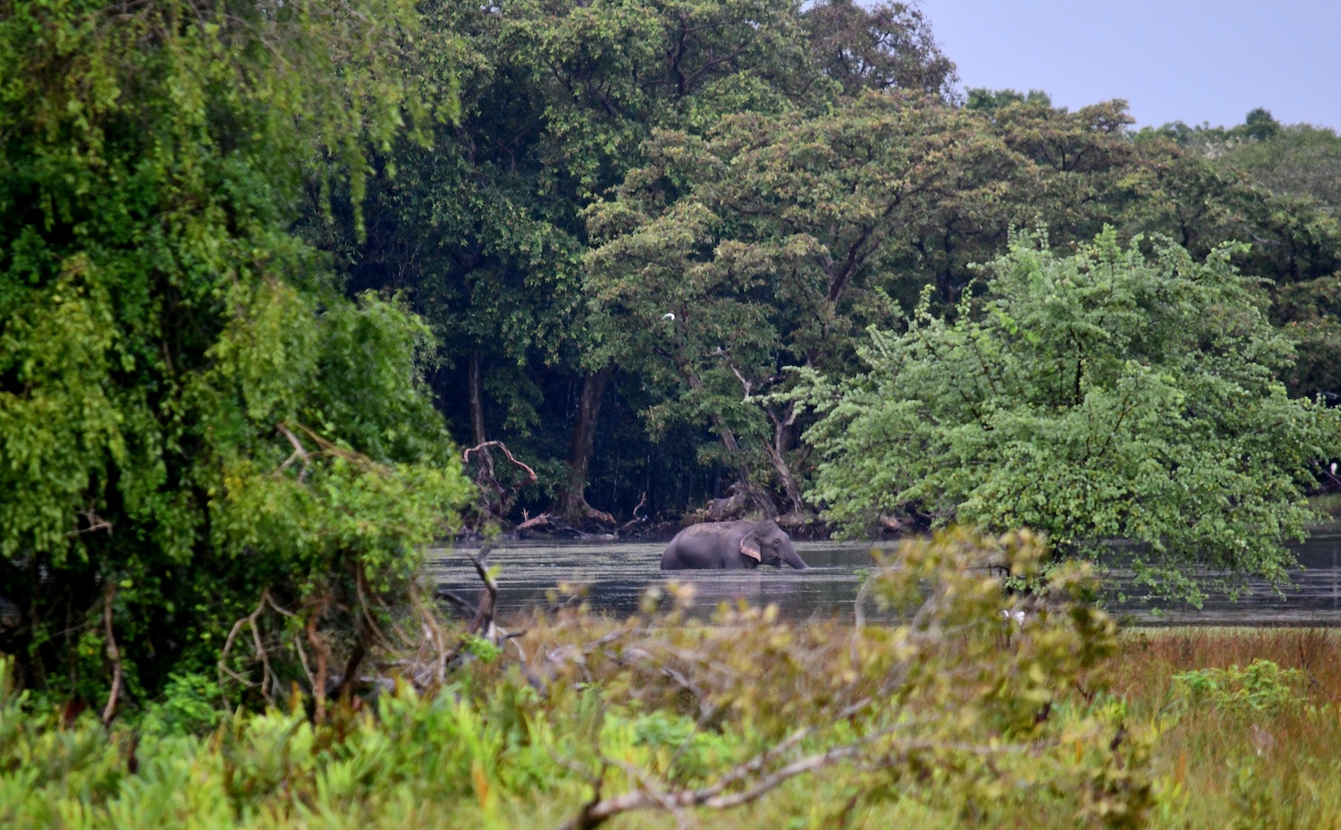 Taru Villas Villu, Wilpattu National Park, Sri Lanka 11.JPG