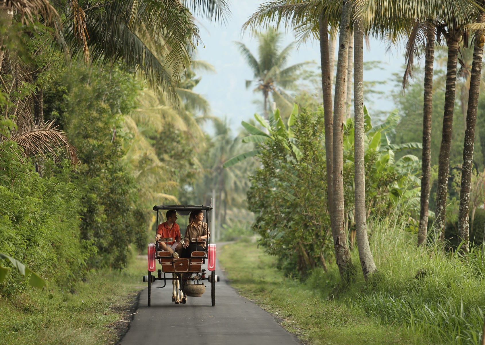 Plataran Borobudur Resort & Spa, Borobudur, Java, Indonesia 5.jpg