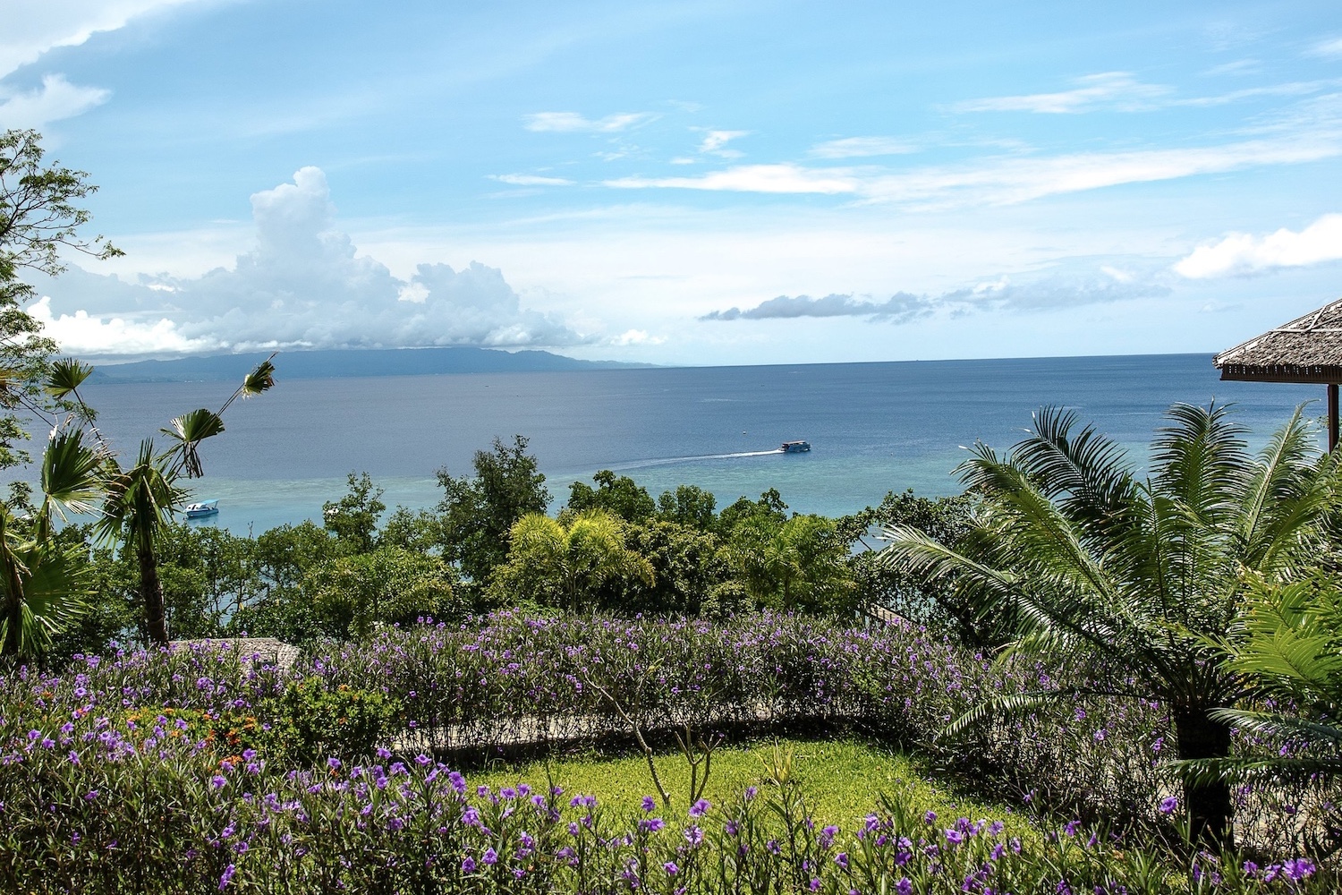 Bunaken Oasis Dive Resort, Bunaken, North Sulawesi, Indonesia 14.jpg