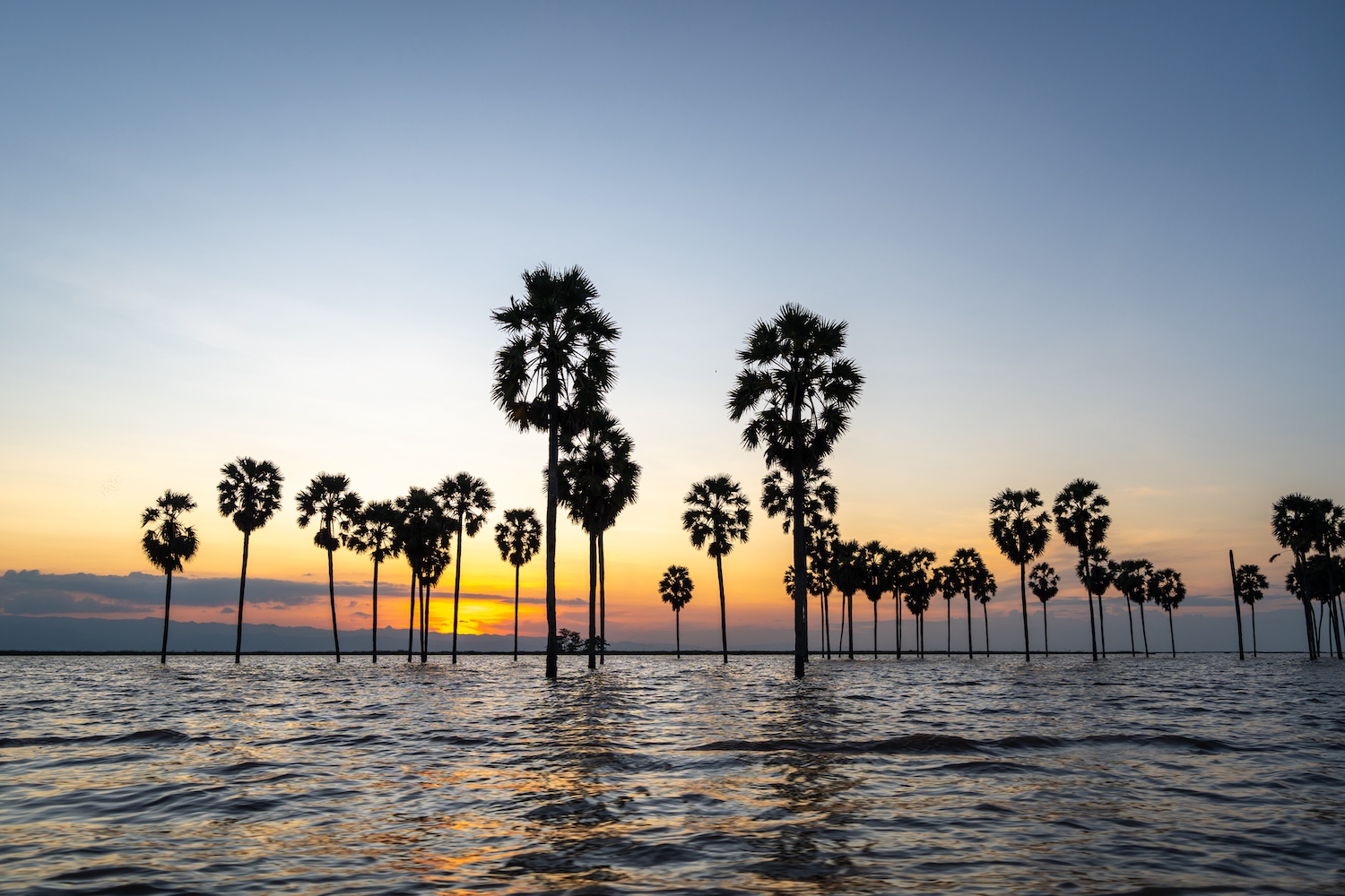 Lake Tempe, Sengkang, Sulawesi, Indonesia 1.jpeg