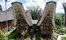 Toraja Heritage Hotel, Sulawesi, Indonesia 3.jpg