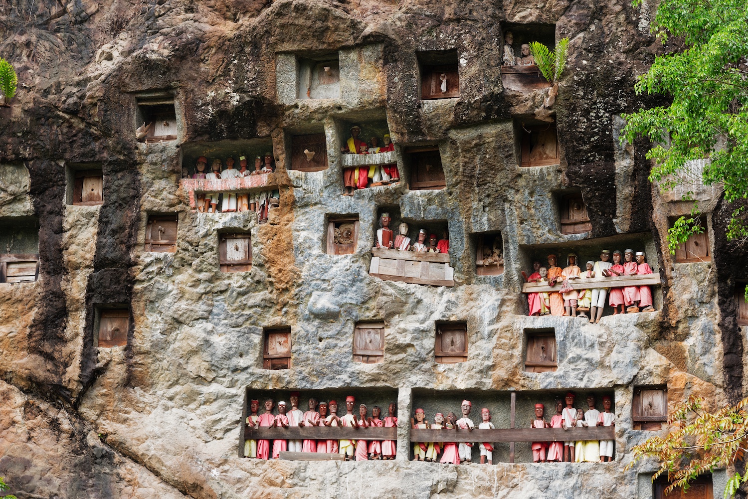 Tana Toraja, Sulawesi, Indonesia 3.jpeg