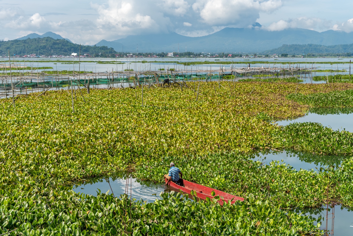 Tomohon, Sulawesi, Indonesia 2.jpeg