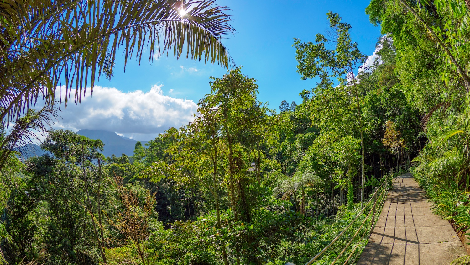 Tomohon, Sulawesi, Indonesia 3.jpeg
