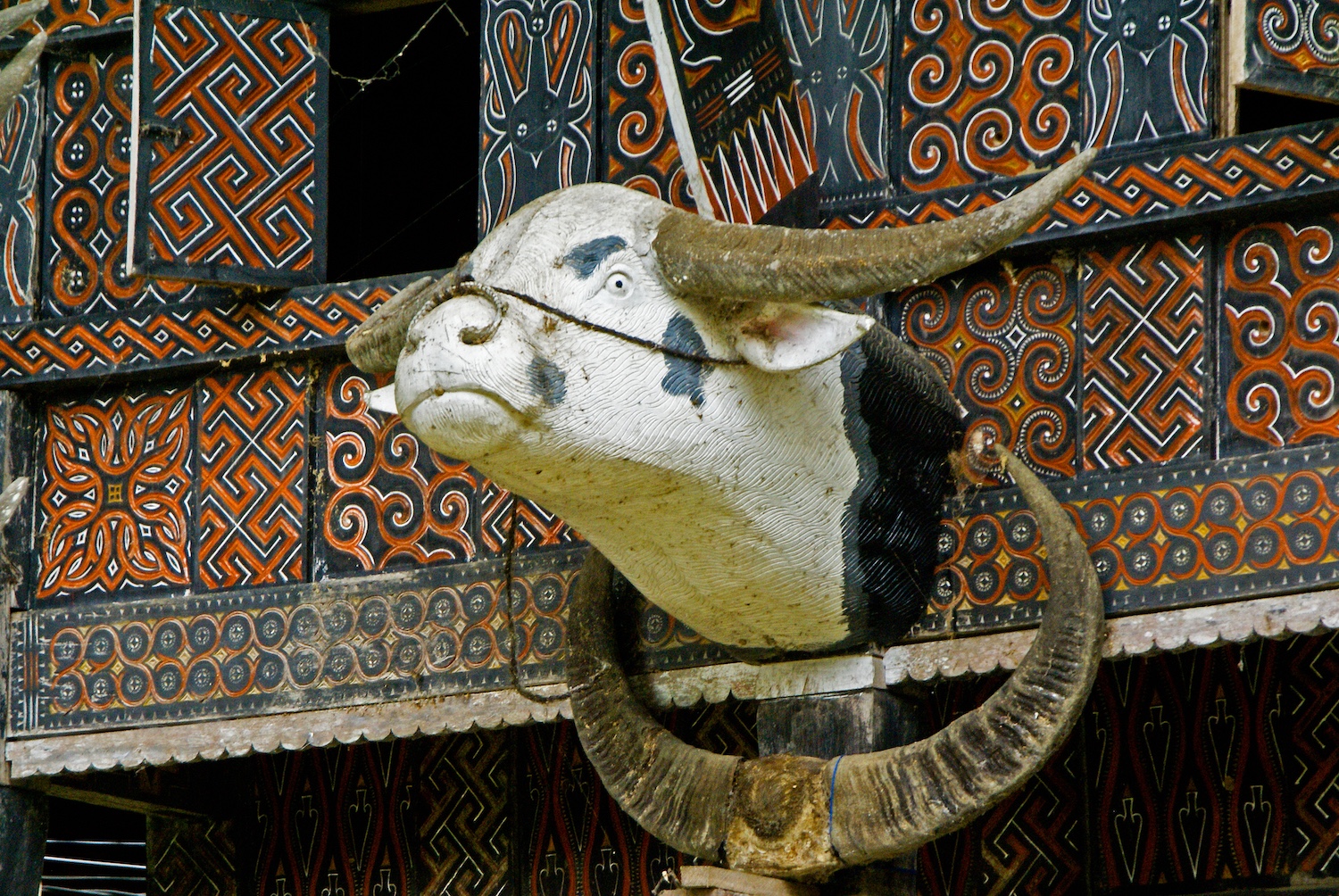 Tana Toraja, Sulawesi, Indonesia.jpeg