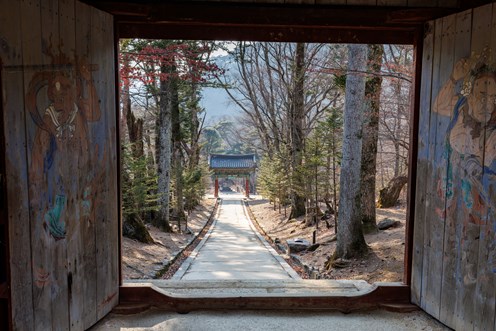 South Korean Temple Stays: Complete Immersion in Living Tradition