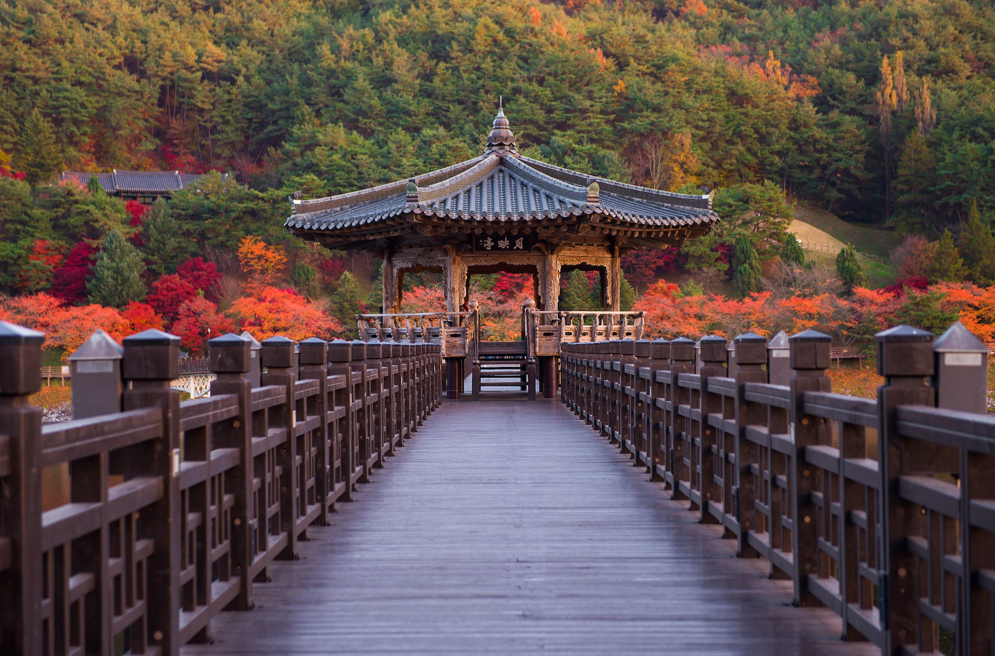 Wolyeonggyo bridge, Andong, South Korea.jpeg
