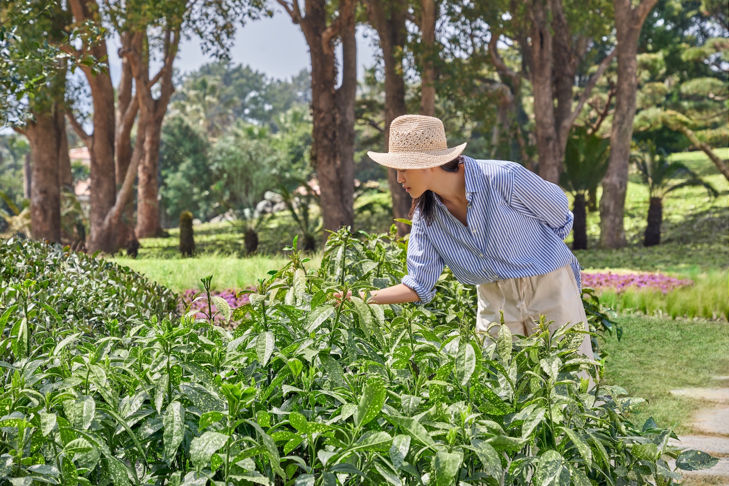 JW Marriott, Jeju Island, South Korea 15.jpg