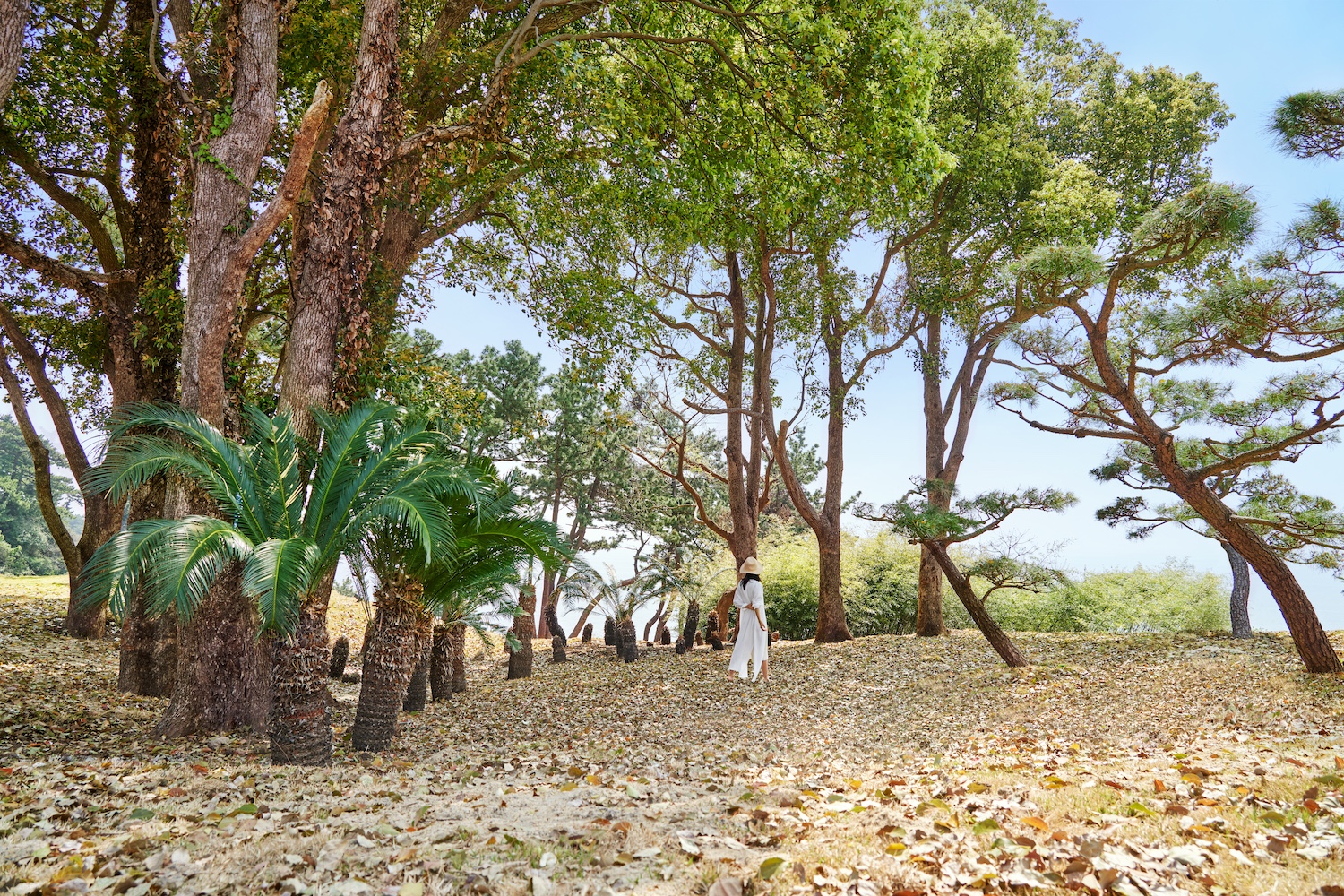 JW Marriott, Jeju Island, South Korea 16.jpg