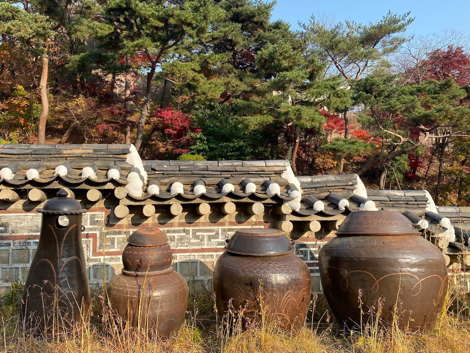 Traditional Korean food storage for fermented foods - sauce, soy paste, chili paste.jpg