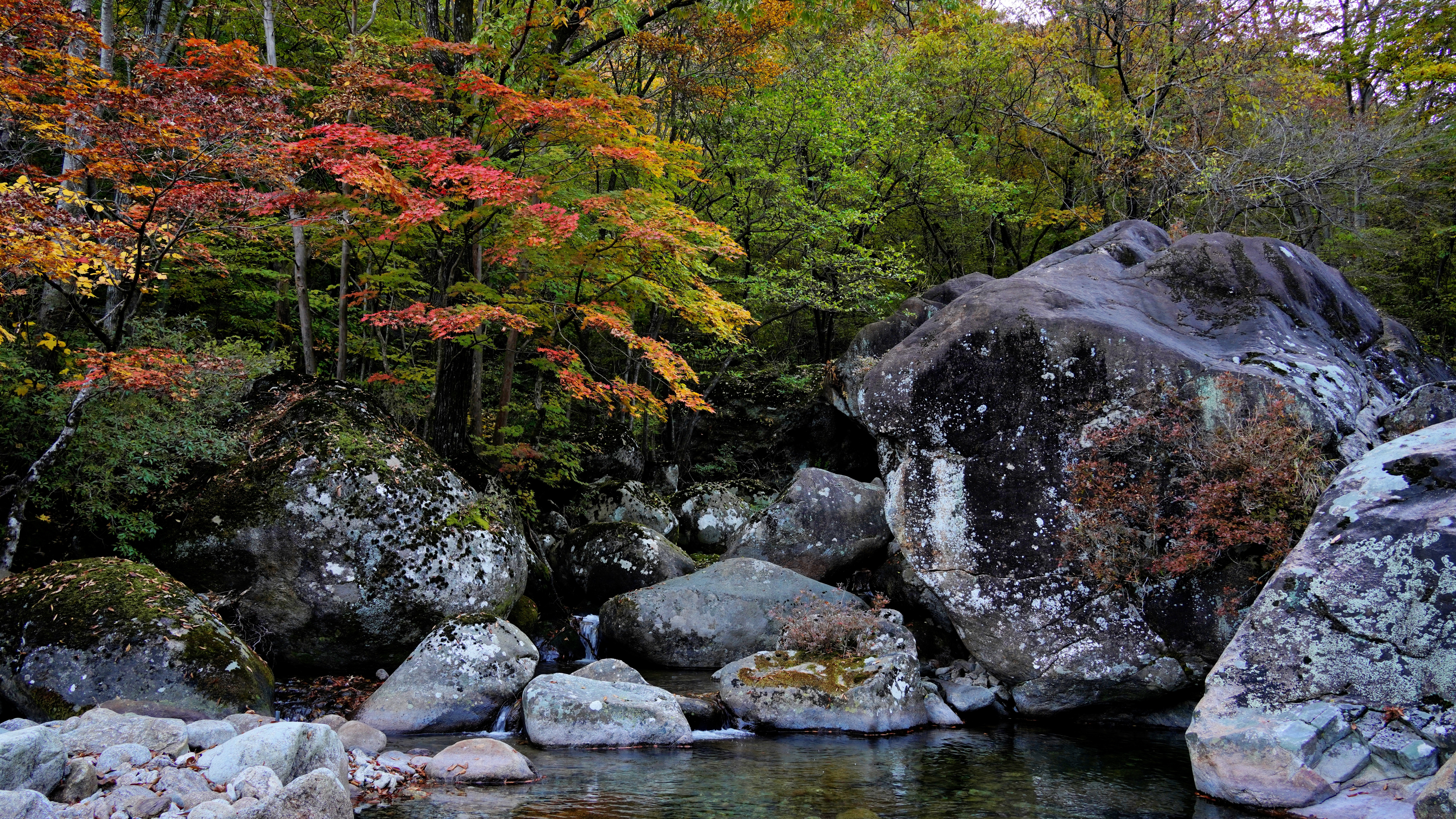Jirisan Mountain, South Korea.jpeg